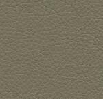 Symphony Classic Papyrus